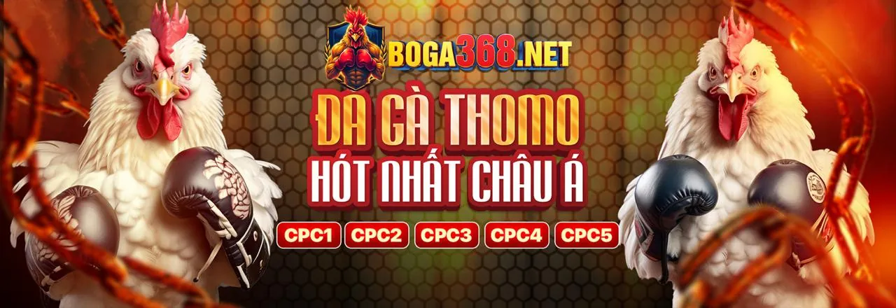 Đá Gà Trực Tuyến sum99 nhà cái